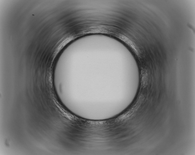 X0000096660882200803041158