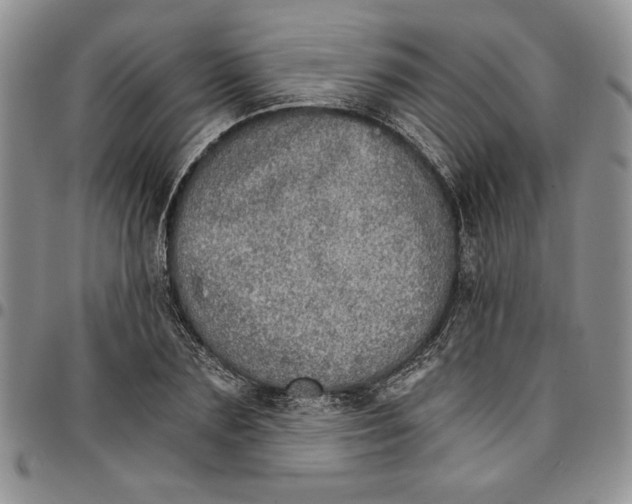 X0000096660883200803041158