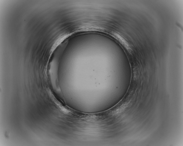 X0000096660885200803041158