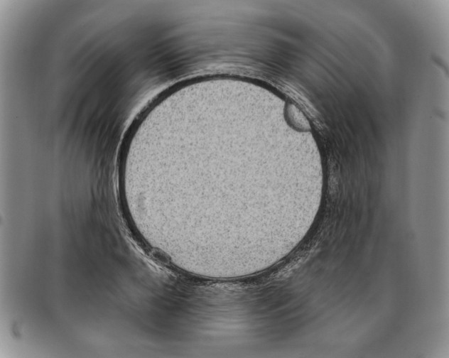 X0000096660888200803041158