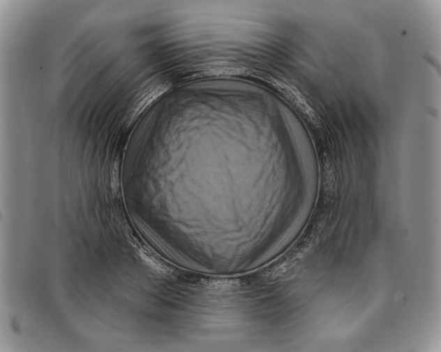 X0000096660889200803041158