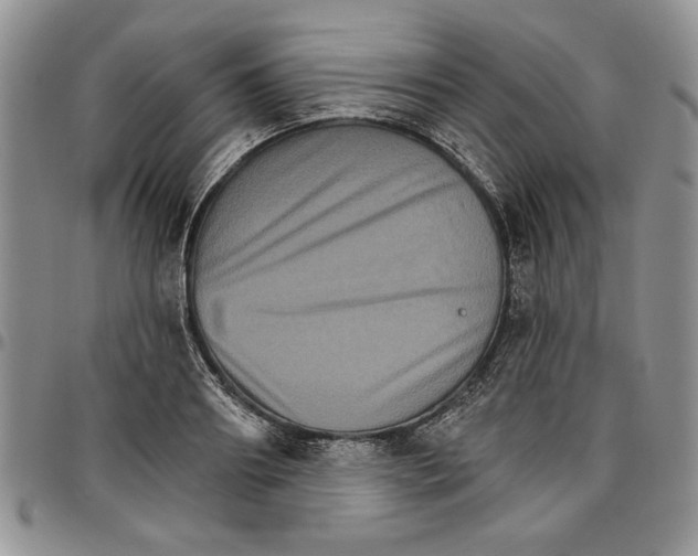 X0000096660890200803041158