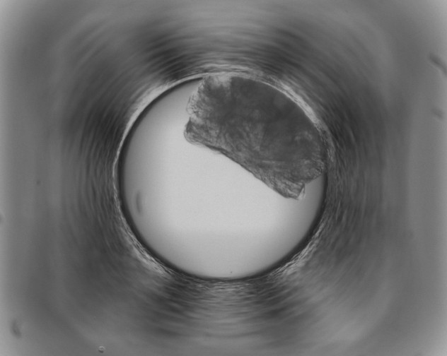 X0000096660891200803041158