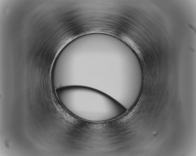 X0000096660892200803041158