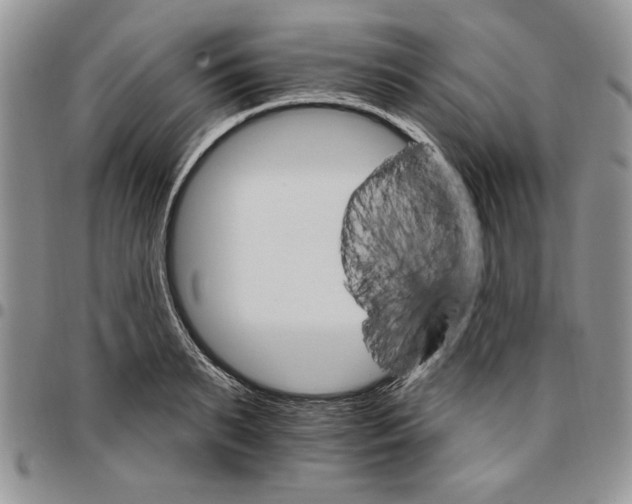 X0000096660895200803041158