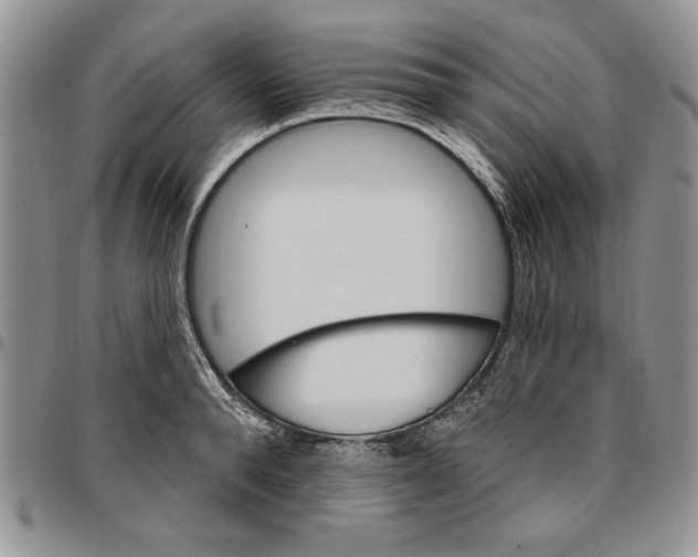 X0000096660896200803041158