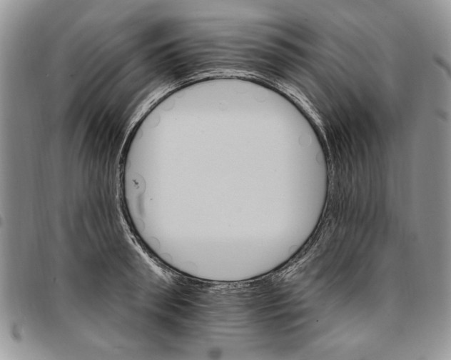 X0000096660898200803041158