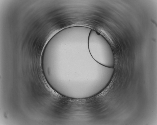 X0000096660900200803041158