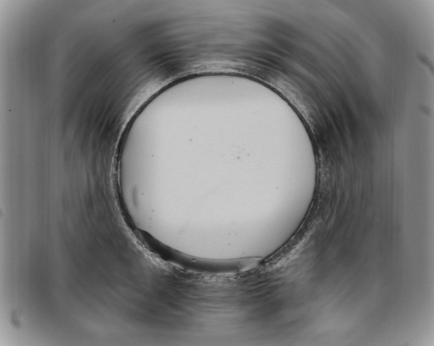 X0000096660901200803041158