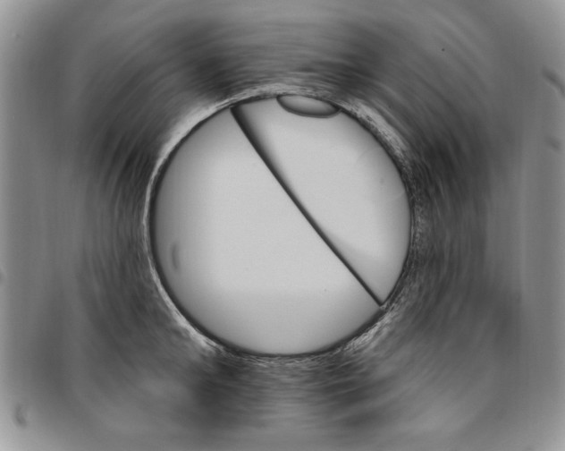 X0000096660902200803041158