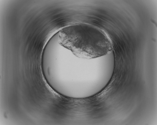 X0000096660903200803041158