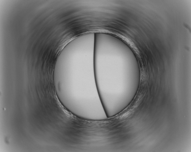 X0000096660905200803041158