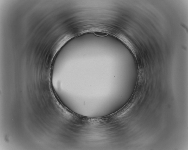 X0000096660906200803041158