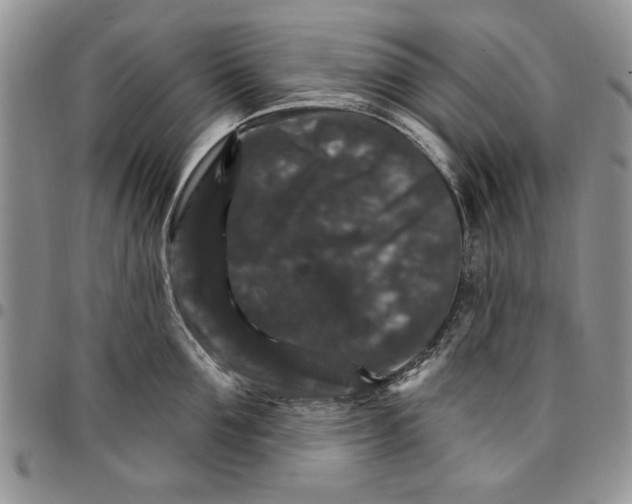 X0000096660907200803041158