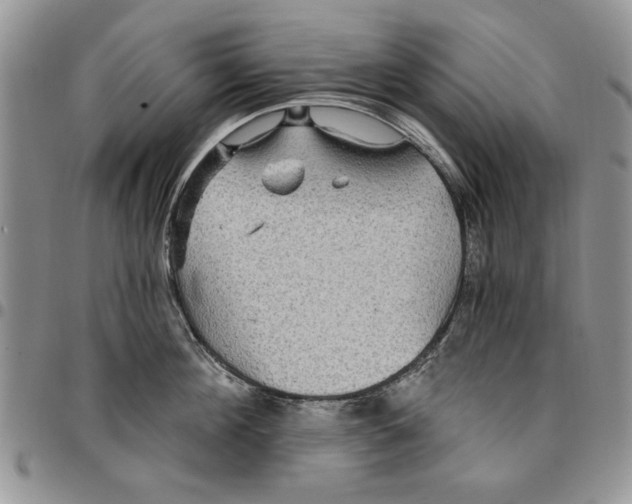 X0000096660908200803041158