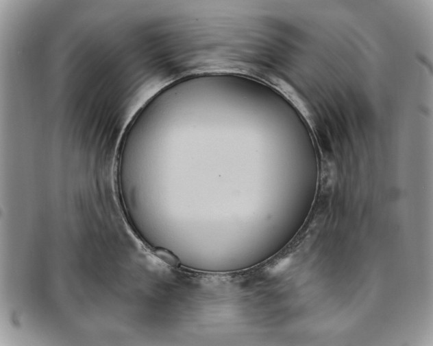 X0000096660909200803041158