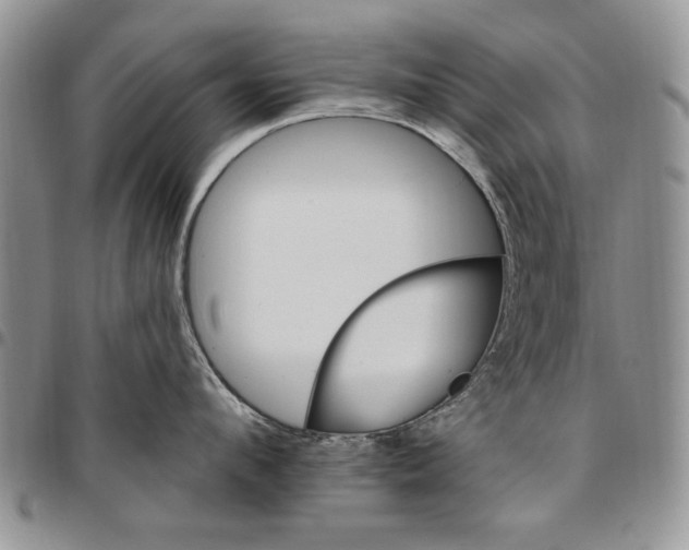 X0000096660912200803041158