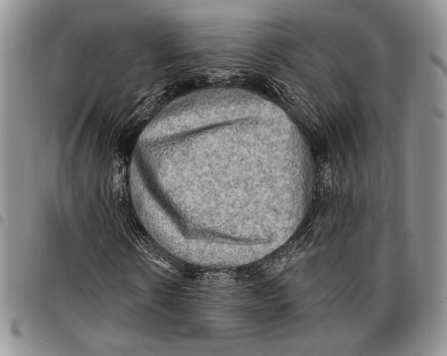 X0000096660914200803041157