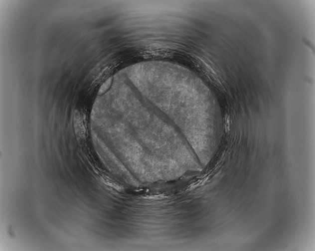 X0000096660915200803041157