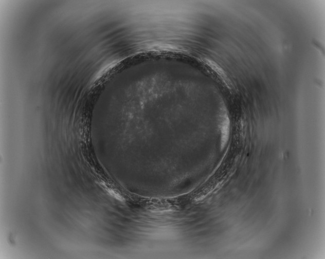 X0000096660919200803041157