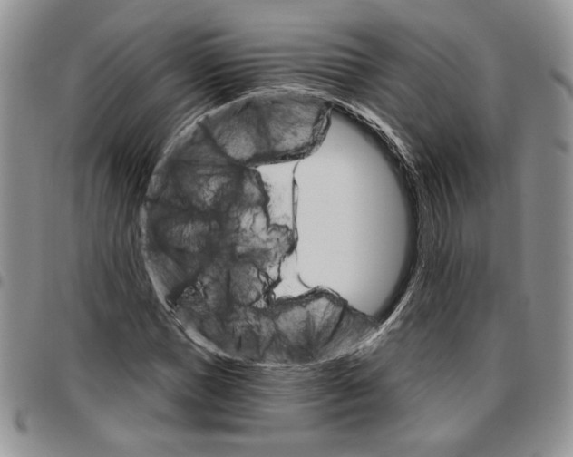 X0000096660921200803041157