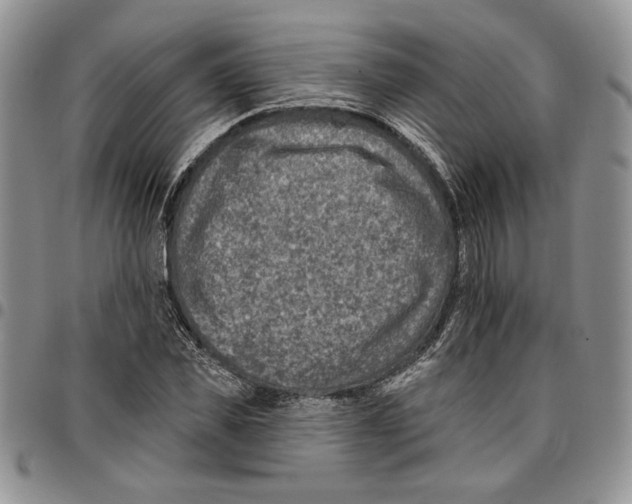 X0000096660925200803041157