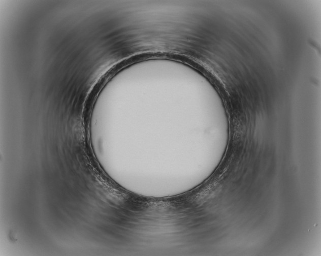 X0000096660927200803041157