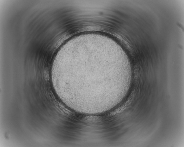 X0000096660929200803041158