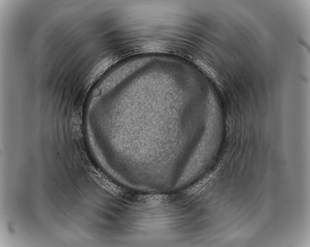 X0000096660930200803041158