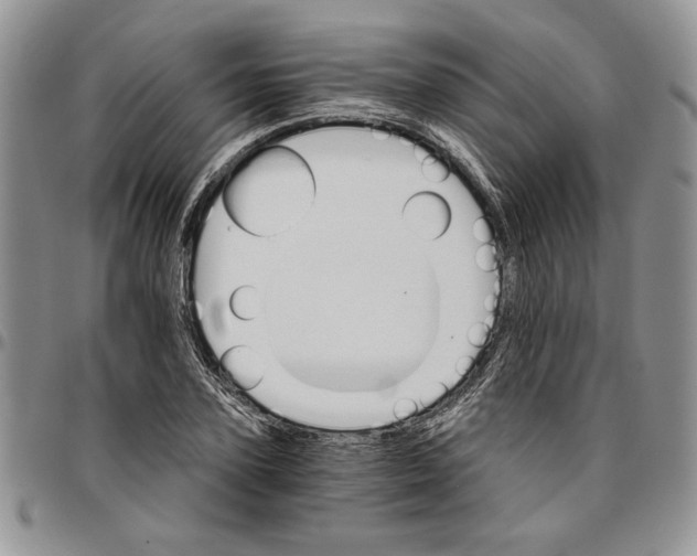 X0000096660931200803041158