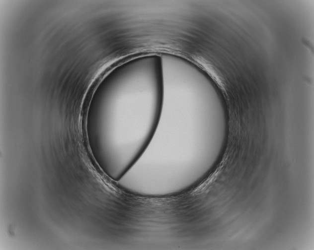 X0000096660932200803041158