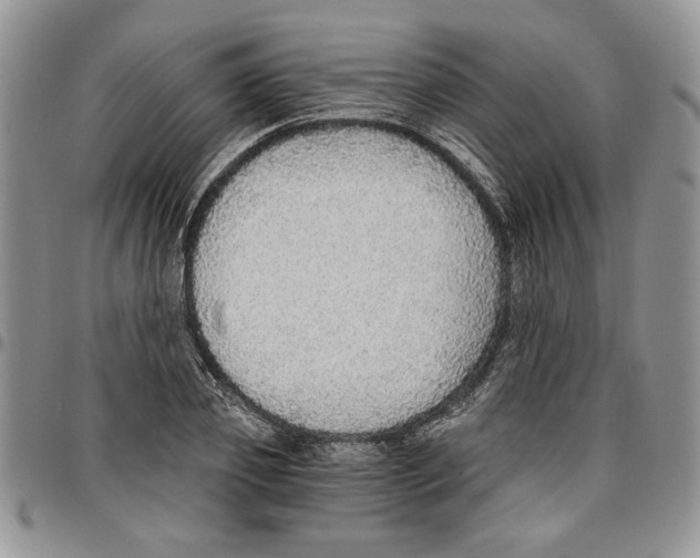 X0000096660933200803041158