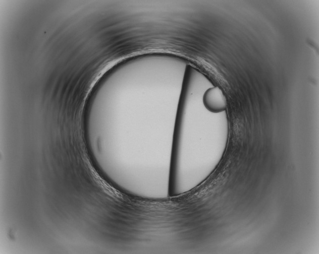 X0000096660934200803041158