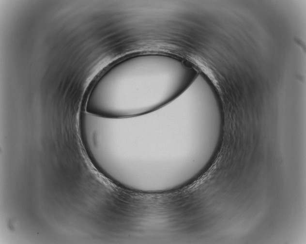 X0000096660936200803041158