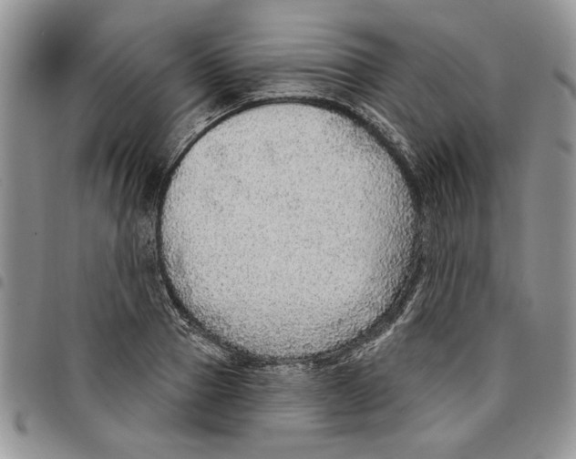 X0000096660937200803041158