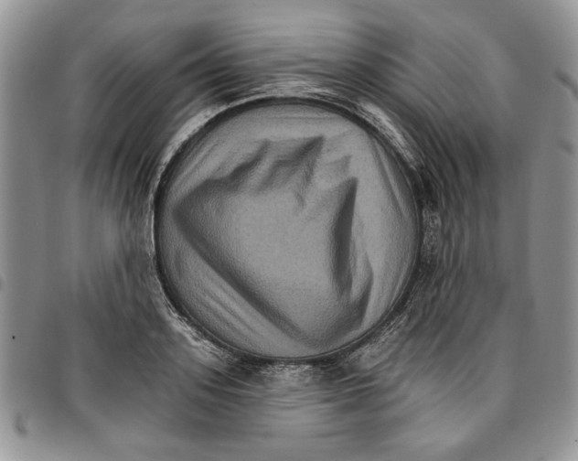 X0000096660939200803041158