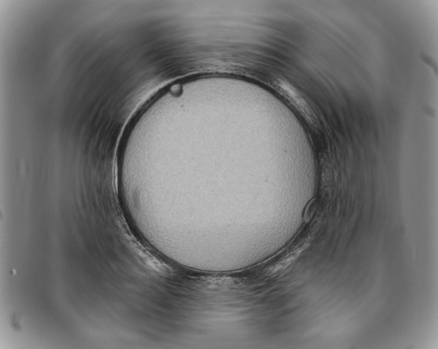 X0000096660940200803041158