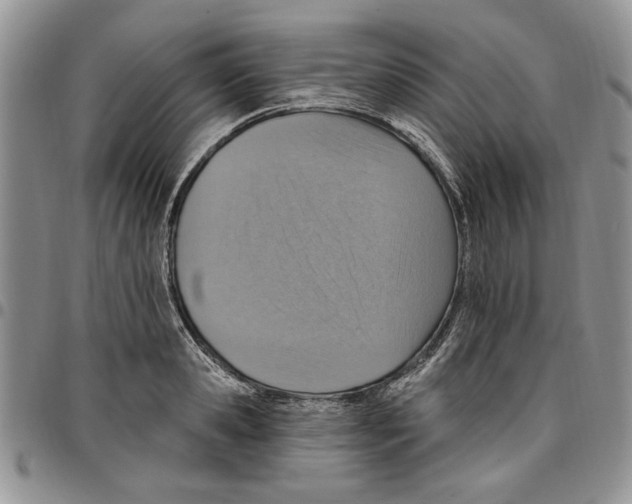 X0000096660941200803041158