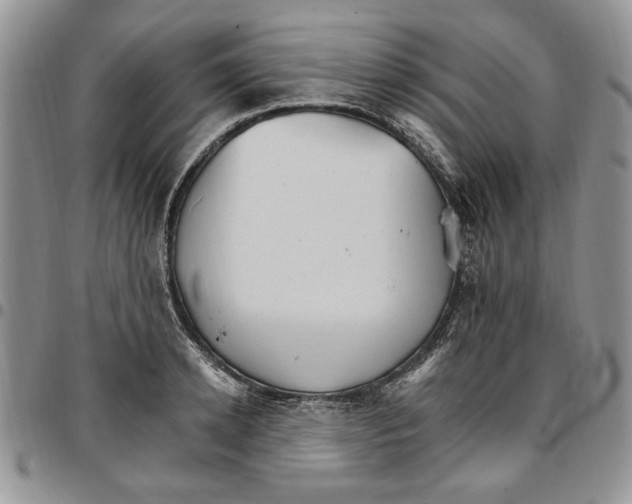 X0000096660942200803041158