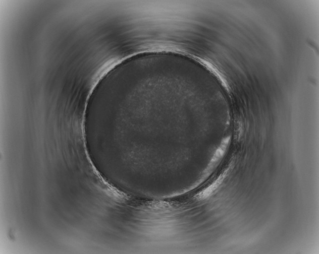 X0000096660943200803041158