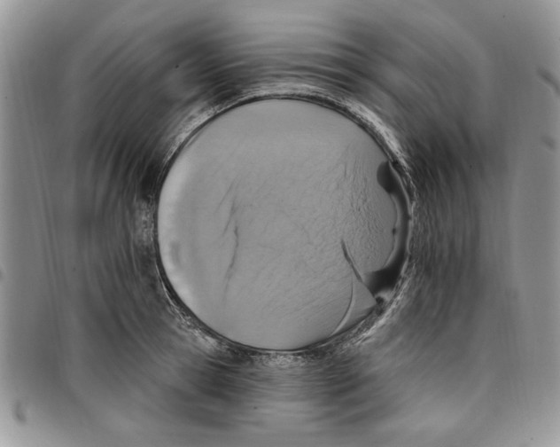 X0000096660945200803041158