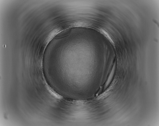 X0000096660946200803041158