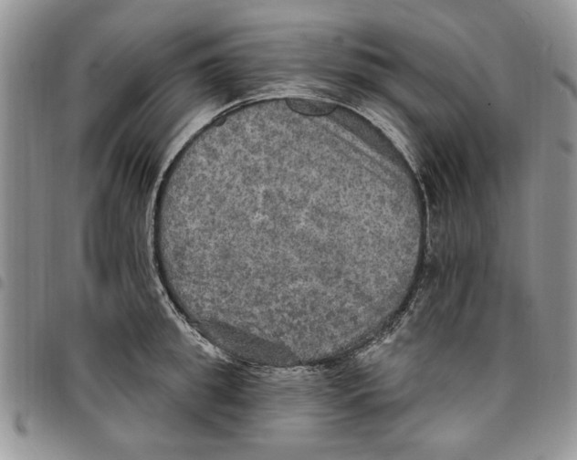 X0000096660949200803041158