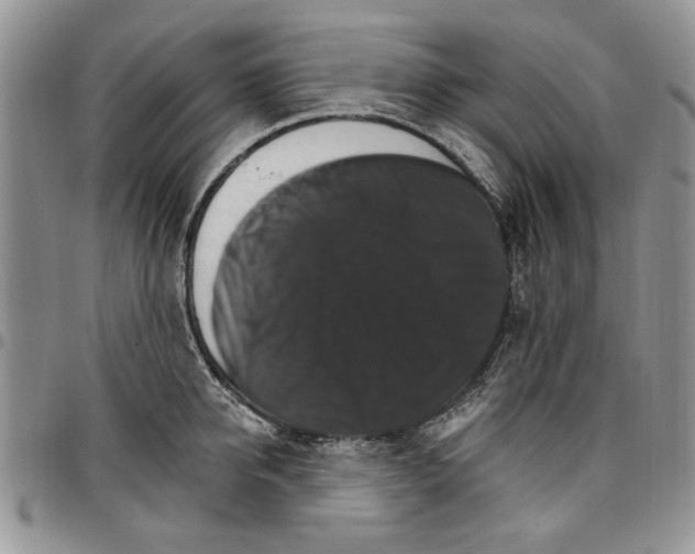 X0000096660950200803041158