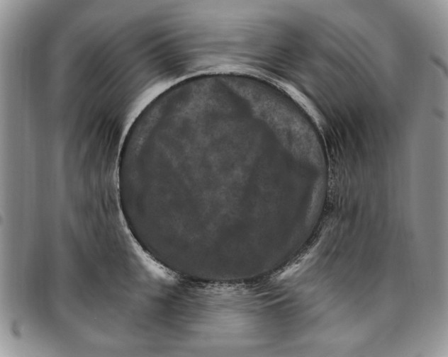 X0000096660951200803041158