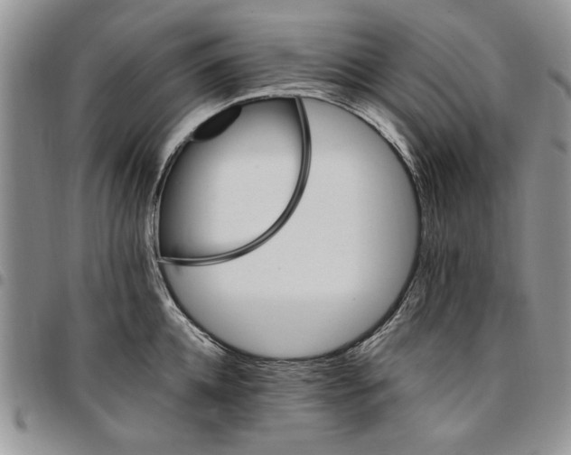 X0000096660952200803041158