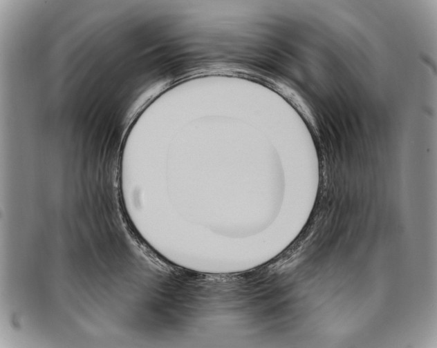 X0000096660954200803041158