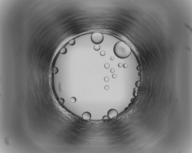 X0000096660955200803041158