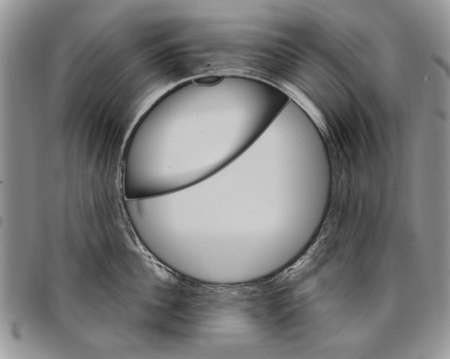 X0000096660956200803041158