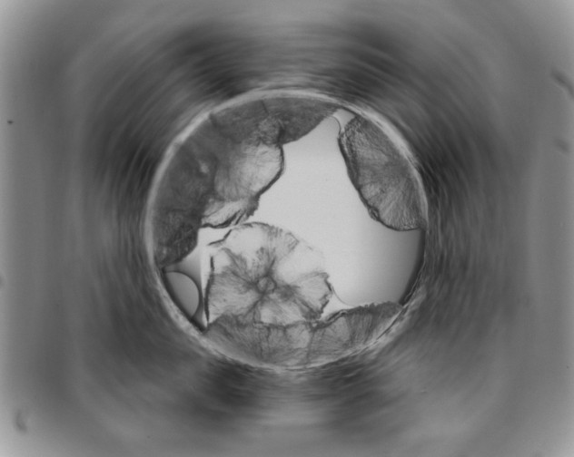 X0000096660957200803041158